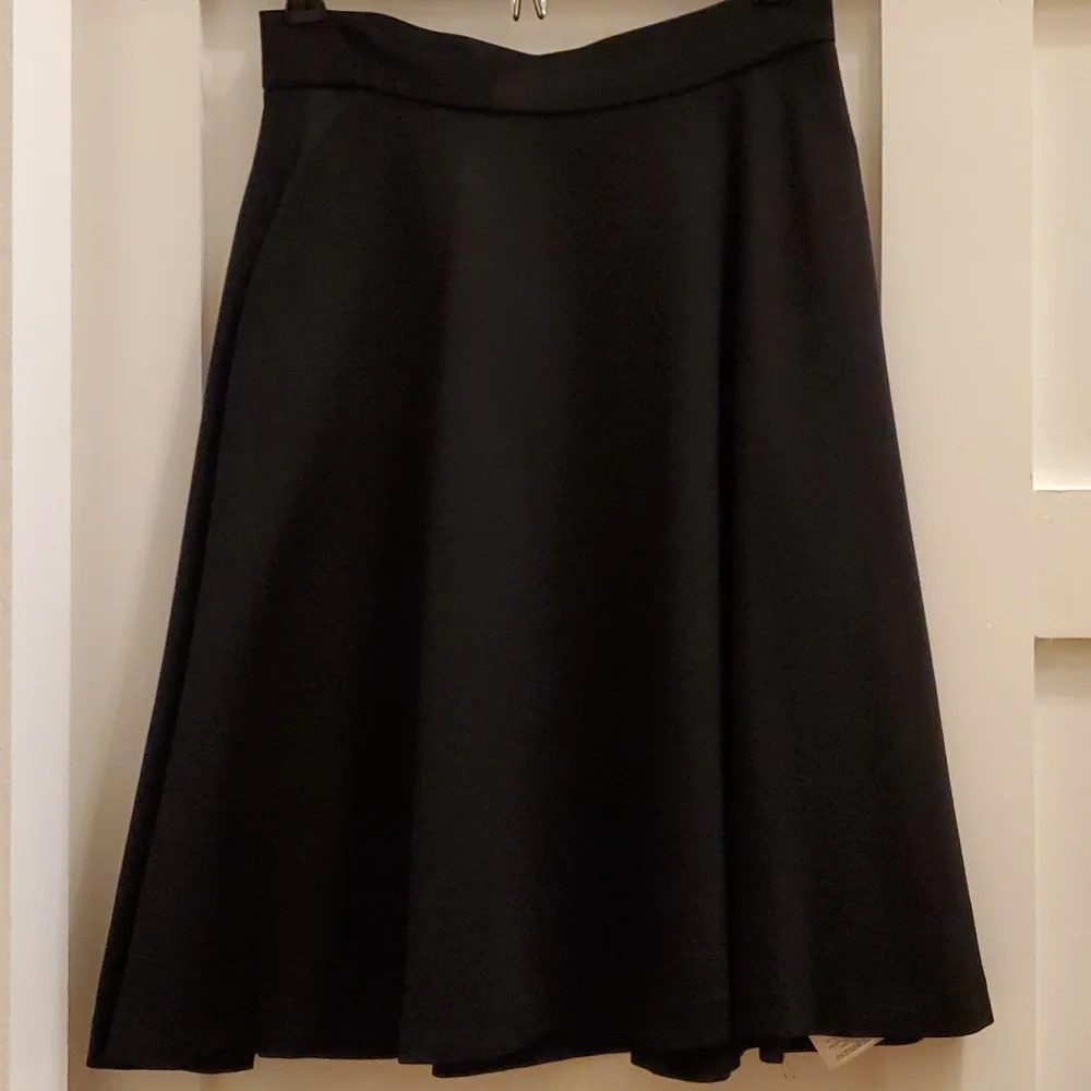 Banana Republic Aline Skirt - Picture 1 of 4